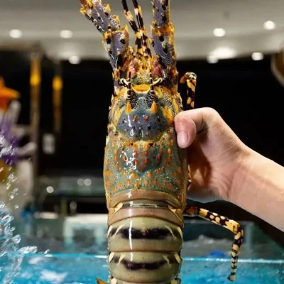 水产海鲜